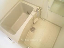 https://image.rentersnet.jp/d0d9386d-92a9-4e8a-b46a-e8feeaad6026_property_picture_3220_large.jpg